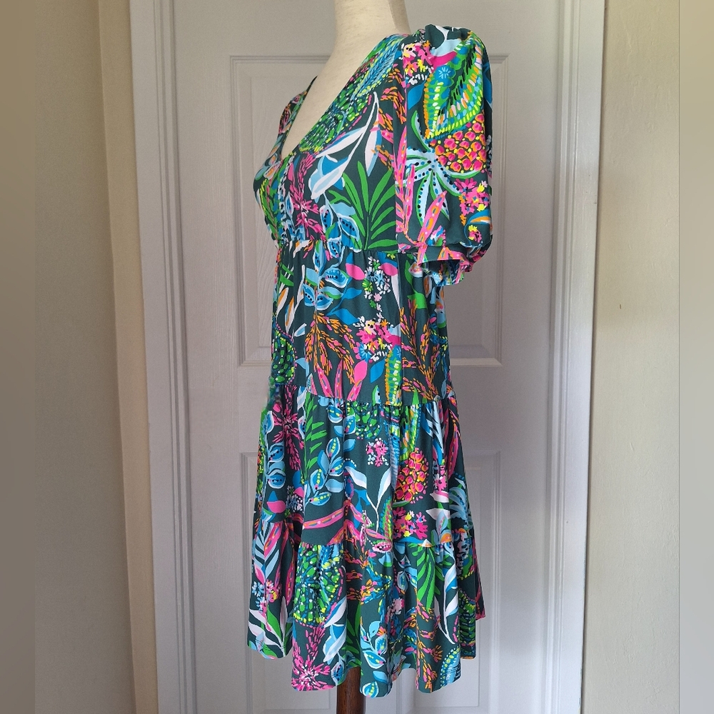 Lilly Pulitzer‎ Chaira Short Sleeve Dress - Picture 6 of 10